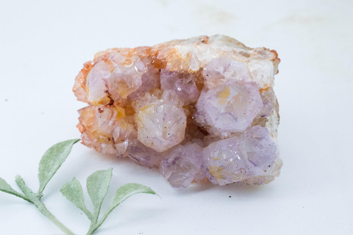 Spirit Quartz Cluster; Natural Untreated South Africa Cactus Quartz; 281.33 grams