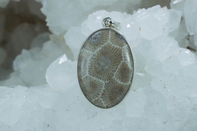 Petoskey Stone Sterling Silver Pendant; Genuine Untreated Michigan Fossil Coral; Petoskey Stone Necklace