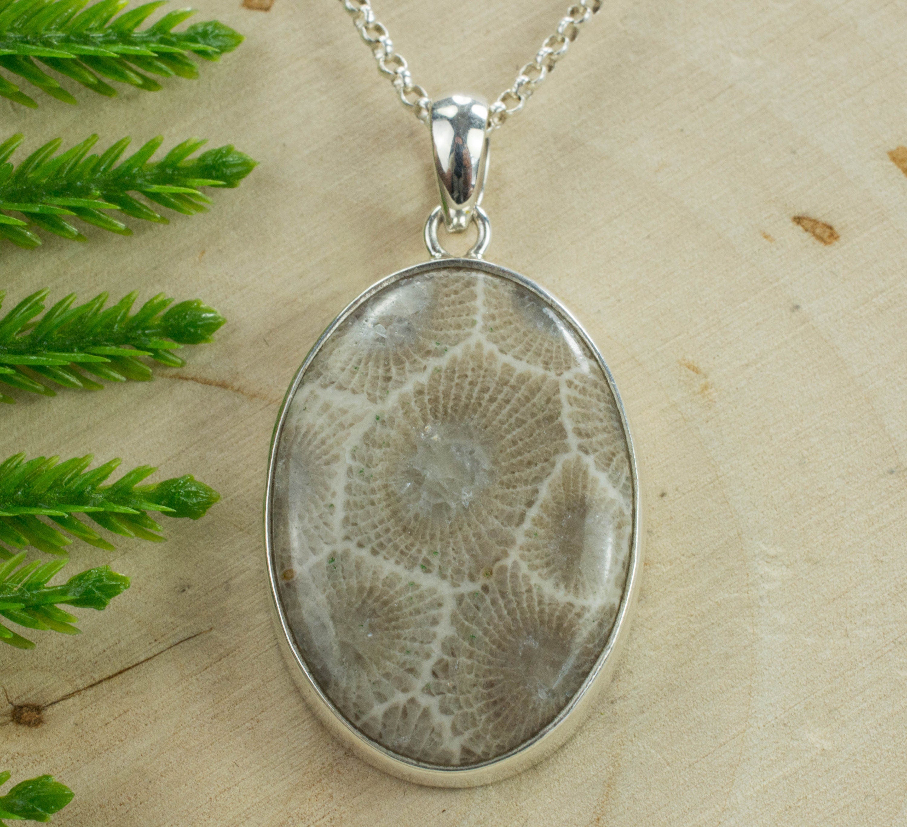 Petoskey Stone Sterling Silver Pendant; Genuine Untreated Michigan Fossil Coral; Petoskey Stone Necklace - Mark Oliver Gems