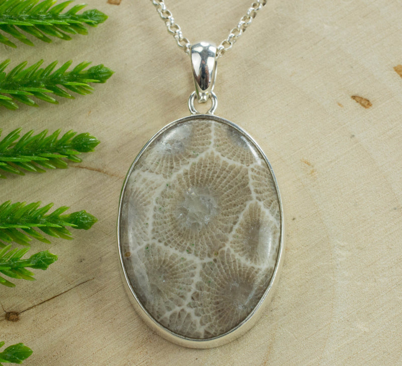 Petoskey Stone Sterling Silver Pendant; Genuine Untreated Michigan Fossil Coral; Petoskey Stone Necklace
