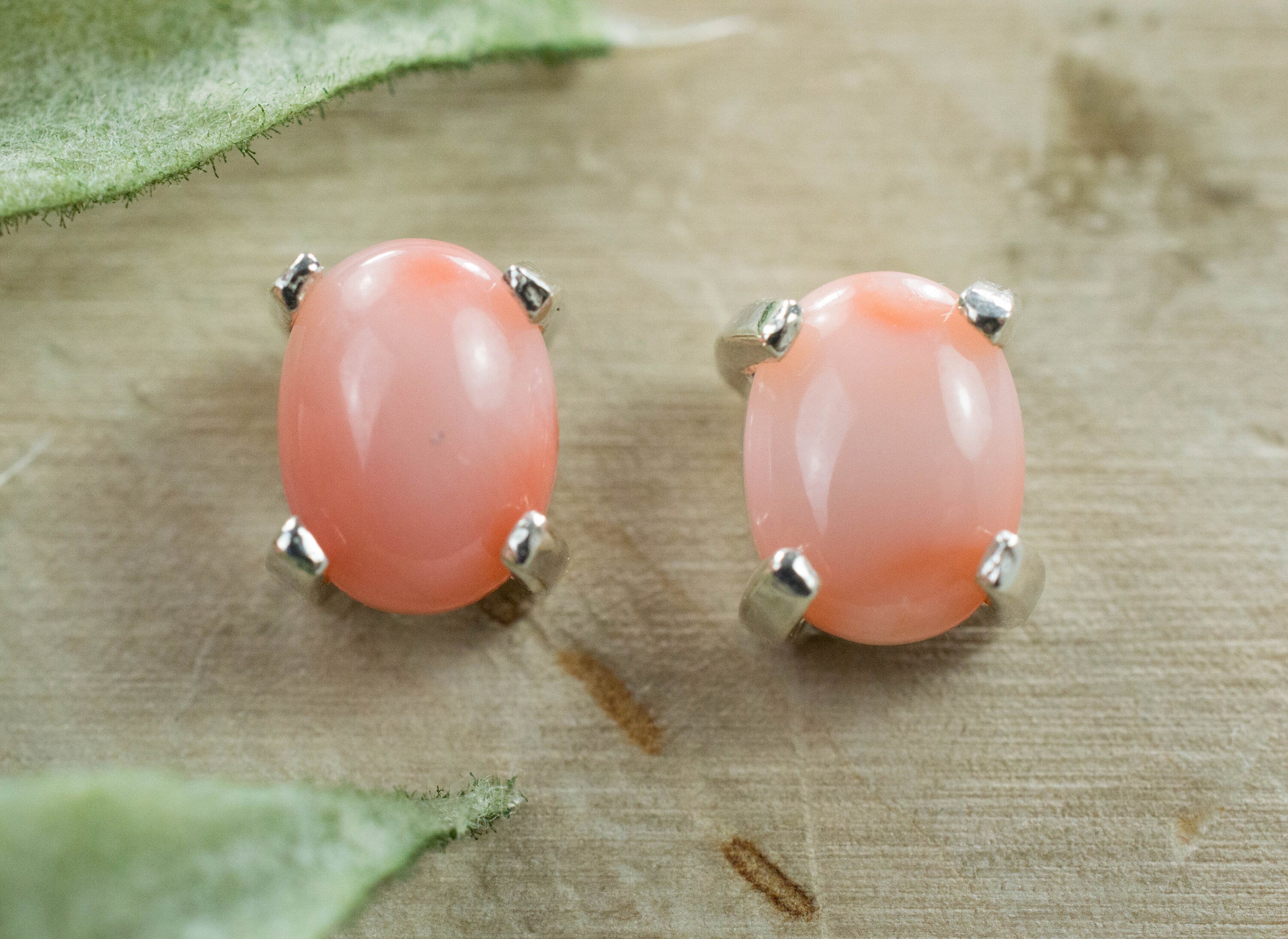 Precious Coral Earrings; Natural Untreated Taiwan Angelskin Coral - Mark Oliver Gems
