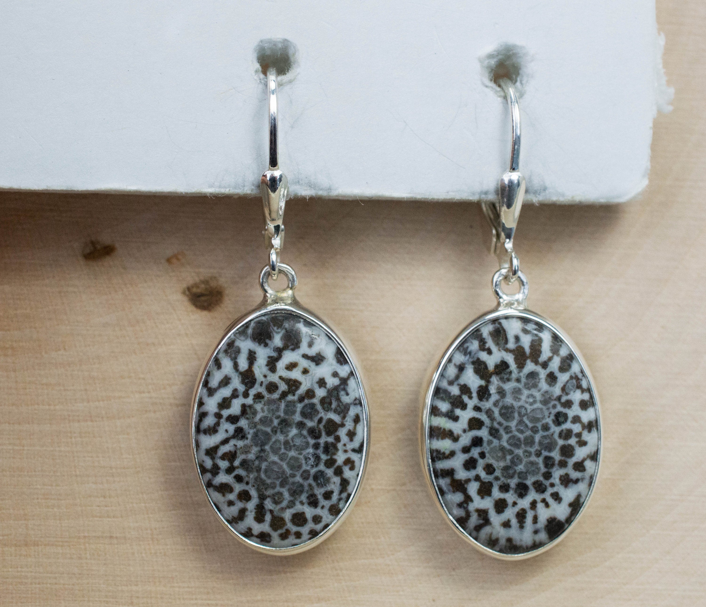 Fossil Coral Earrings; Genuine Untreated Morocco Coral - Mark Oliver Gems